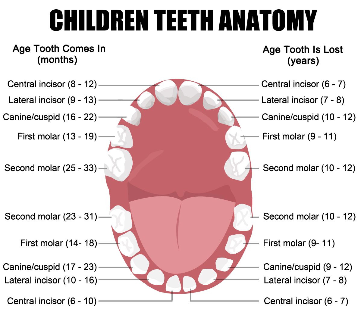 Children’s Dentistry near Tavernier FL